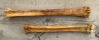 2 Nature Cleaned Deer Leg Cannon Bones Metacarpal Metatarsal