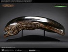 Sideshow Collectibles Alien Warrior Life Size Head 1 1  Bust Coolprops Predator 