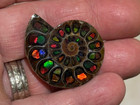 Spectacular Rare ammolite canada  Inlay In Fossil Ammonite madagascar see Video 