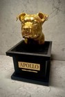 Personalized Pet Memorial Urn Cremation