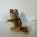 Vintage 1960 s Steiff Stuffed Animal Raccy Raccoon Mohair 4    Chest Tag
