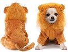Idepet Pet Costume halloween Dog Cosplay Lion Costume Christmas Puppy Small Dog
