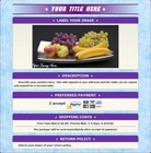 Auction Template Purple Blue Color Design  3 Choices - Free Email Shipping