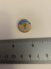 Elks Lodge 2350 Coolidge Florence 94-95 Ben Fisher Lapel Pin P69