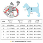 Soft Breathable Mesh Pet Dog Harness And Leash Reflective Puppy Cat Step In Vest
