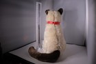 Fao Schwarz Plush Siamese Cat 11  Tall 2015 Geoffrey Toys R Us Stuffed Animal