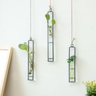 Glass Plants Vase For Wall Hanger Planter Terrarium Vase Pot Flower Crystal Vase