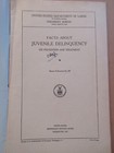 Facts About Juvenile Delinquency  Its Prevention And Treatment 1933 Dept Labor