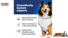 Hill s Science Diet Adult Sensitive Stomach   Skin Chicken Recipe Dry Dog 30lb