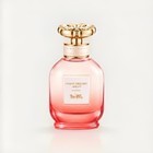 Coach Dreams Sunset Eau De Parfum Spray  Regular Size 1 3 Fl Oz