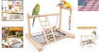 Bird Playground Birdcage Playstand Pet Bird Perch Platform Stand Parrot Play