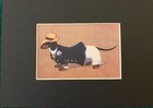 Dachshund  boy  - Custom Matted Small 5 X 7 - Dog Art Print - German   New