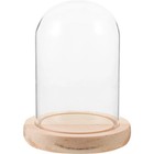Transparent Glass Cloche Dome Display Case For Flowers  Crafts   Mini Gardens