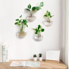 Mkono Wall Hanging Planter Propagation Station Glass Flower Vase For Clear 