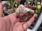 5 0 Oz Mexican Imperial Jasper Rough For Lapidary Or Display