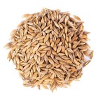 Organic Whole Unhulled Barley     Premium Quality Seeds With Husk Intact  Kosher