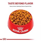 Royal Canin Breed Health Nutrition Labrador Retriever Adult Dry Dog Food 30 Lb