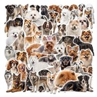           Ship To Japan Only                                       Dog                                        4                               