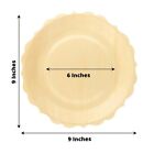 12 Round 9  Natural Birch Wood Dinner Plates Scalloped Rim Party Events Supplies