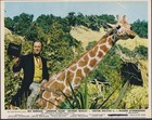 Doctor Dolittle 8x Original Uk Foh Lobby Cards Rex Harrison 1967