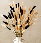 100 Stems Bunny Tails Pampas Grass Dried Flowers - 30pcs Black  30pcs 100pcs