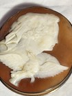 Victorian Peace Cameo Queen   Dove Carved Shell