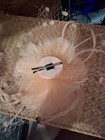 Womens Fascinator Feather Flower Hat Clip Wedding Tea Racing Party Headwear
