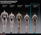  New Girl Type Phicen S27b 1 6 Seamless Shorter Body Suntan M Bust 10 6     usa   