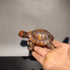 Chinese Wooden Carved Wood Carving God Of Longevity Turtle Statue Home Decor Art