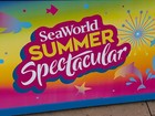 Seaworld San Diego 2026 Orca Summer Nights  Event Pin