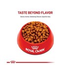 Royal Canin Breed Health Nutrition Yorkshire Terrier Adult Dry Dog Food  10 Lbs 