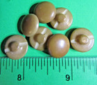  7  Vintage 1 2  Brown Vegetable Ivory  Plastic  Shank Baby Doll Buttons-3 2