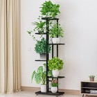 6 Tier Metal Plant Stand-tiered Corner Shelf- Living Room office garden balcony