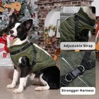 Joydaog Dog Jacket With Harness puppy Coat For Small X-small  Green