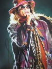Singer Steven Tyler Of Aerosmith Signed 11x14 Photo Psa Ah53433
