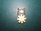 Daughters Of Rebekah Odd Fellows 15 Yr Pin Pennsylvania Enamel Gold Tone Vtg