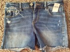 Lot Of 7 Denim Blue Jean Shorts Sz 14  L Gap  Hollister Ripped Shortie Shorts