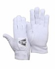 Cricket Inner Glove Padded Cw  Free Shipping   Au Stock