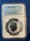 Ngc 2015-p Australia Koala  1 1 Oz  999 Silver Ms70