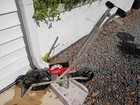 Earthway 1001-b Precision Garden Seeder With 6 Seeder Plates And User Manual