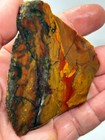 Oregon State Jasper Slab Cabbing Lapidary Carving Combo Ship Avail