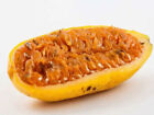 100 Mango Passion Fruit Seeds Passiflora Seed Mango Passionfruit