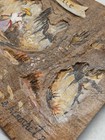 Extremely Rare  Madamoiselle  Carved Painted Wood Signed By A B Croche t 9 x4   