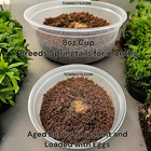 Springtails   Coco Temperate 8oz   Live Arrival   Free Shipping Nationwide 