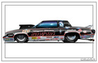 Warren Johnson s 83 Hurst Olds Pro Stock 28x18  Poster 116