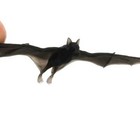 Miniature Bat - 1 12 Scale Dollhouse Diorama Animal Art Craft Supply  2 Bats 