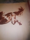 Xu Beihong Galloping Horse Print 39x27 With Original Box