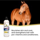 Absorbine Showsheen 2-in-1 Shampoo   Conditioner  20 Fl Oz
