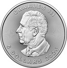 2025 1 Oz Canada Silver Maple Leaf Coin Freshly Minted