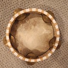Vintage Wooden 10    Diameter  Handheld Tambourine  Made In Pakistan  